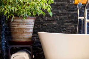 white bathtub with dark stone wall and hanging plant